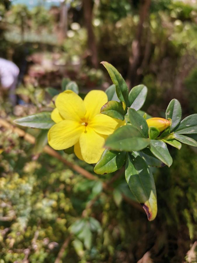 The Galways Edge Homestay Nuwara Eliya Esterno foto