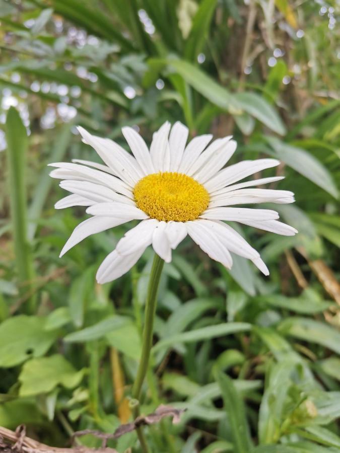 The Galways Edge Homestay Nuwara Eliya Esterno foto