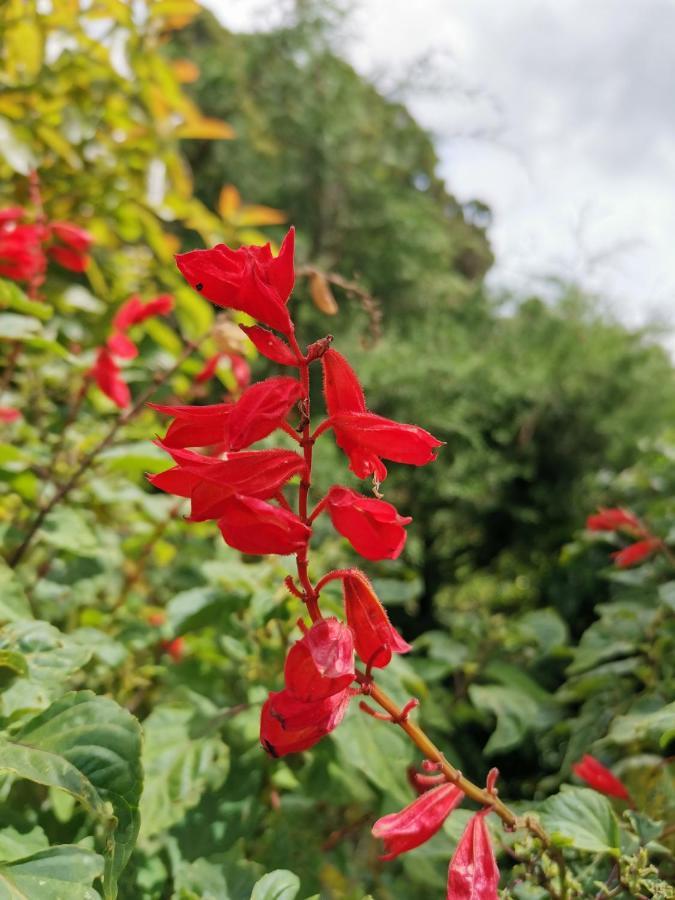 The Galways Edge Homestay Nuwara Eliya Esterno foto